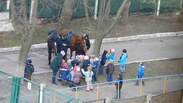Полицейские лошади в детском садике. смотреть онлайн