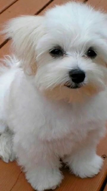 28 лютого 2023 р.