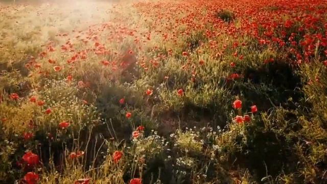 "Гімн красі й Майстру" (авторська поезія) смотреть онлайн