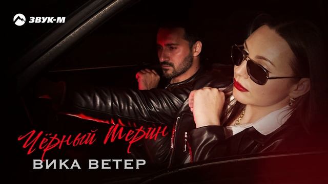 Вика Ветер - Черный мерин смотреть онлайн