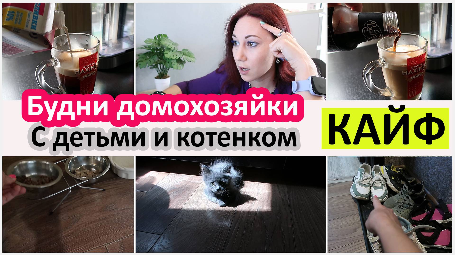 Будни домохозяйки с детьми и котенком. Приучение к лотку. Ест борщ смотреть онлайн