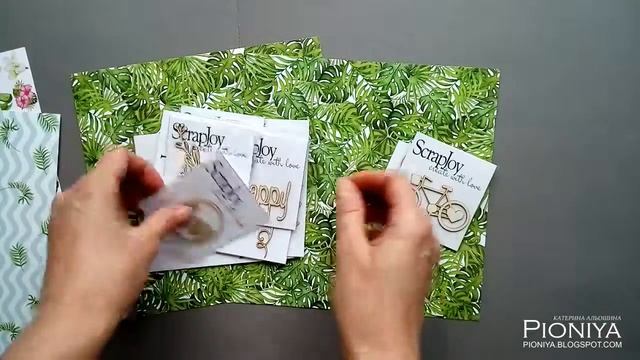 Огляд дизайнерської посилки від магазину ScrapJoy. Pioniya. лют.2019 смотреть онлайн
