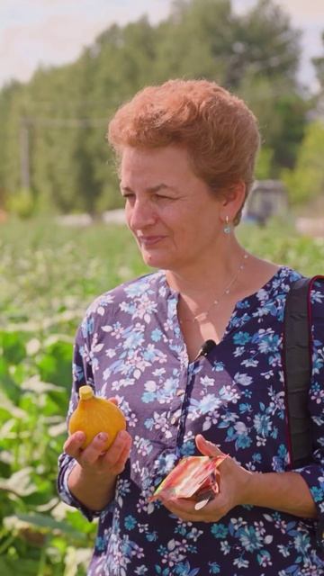 Тыква КИТАЙСКИЙ ФОНАРИК 🎃 смотреть онлайн