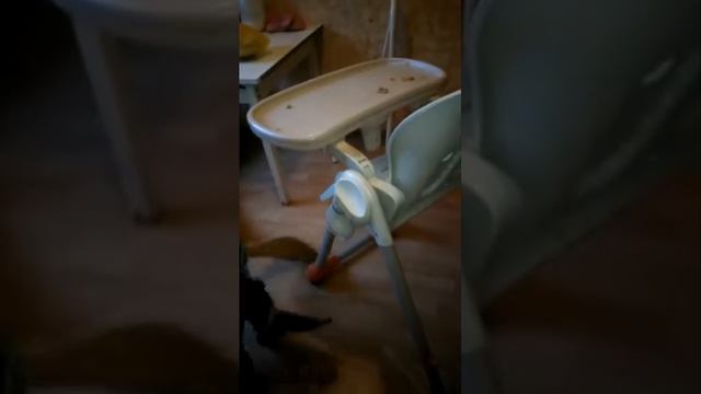 Динара Бакытбек нулэл Байэл Расул умар Ибрагим(15)