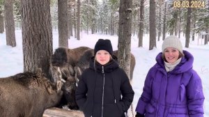 #Якша …первая в Мире Лосеферма Печоро-Илычского заповедника Республики Коми…travel to Russia 2024