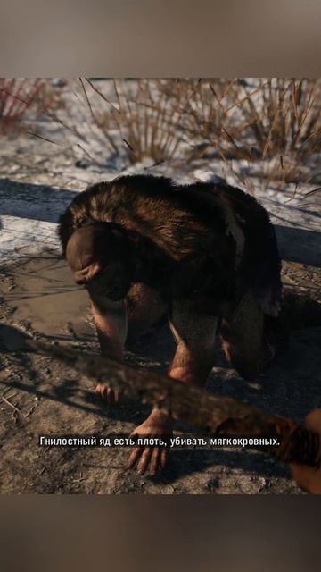 Взял пленника►Far Cry Primal смотреть онлайн