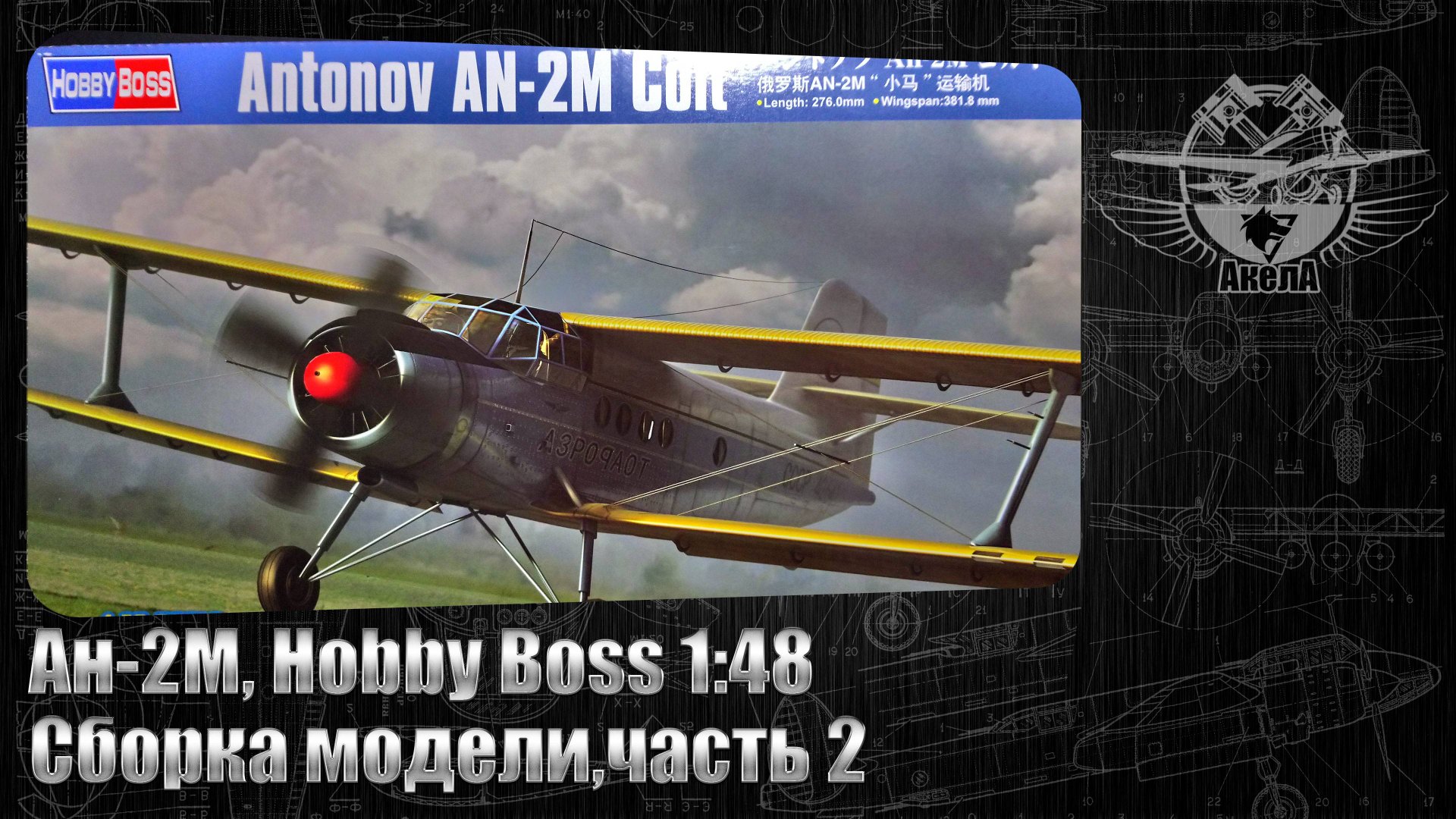 Ан-2М, Hobby Boss 1/48, сборка модели, часть 2
