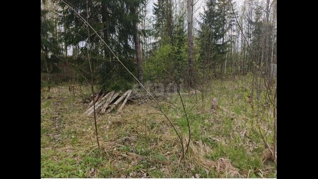 Посадников остров, садоводческое некоммерческое товарищество Кристалл смотреть онлайн