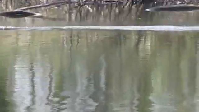 кенон 125 смотреть онлайн