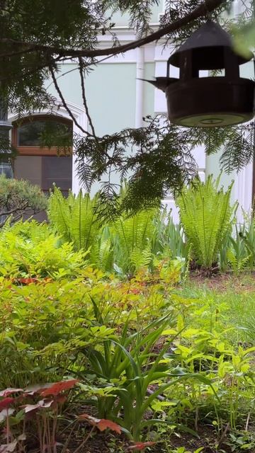 Майский день #благодать #сад