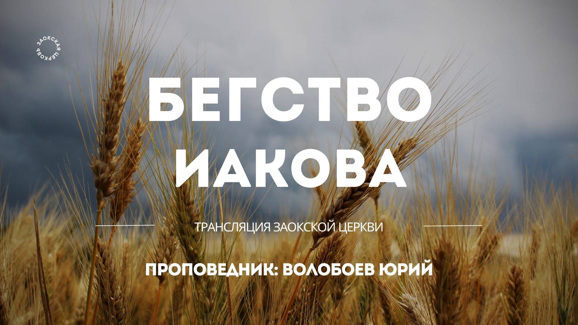 БОГОСЛУЖЕНИЕ онлайн - 16.05.25 / Трансляция Заокская церковь смотреть онлайн