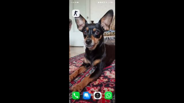 КАК СКАЧАТЬ КС 1.6 НА ANDROID 14 И 13 смотреть онлайн