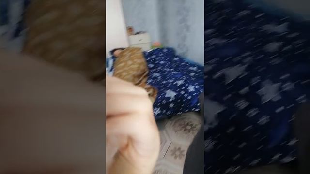 Обзор хомяка смотреть онлайн