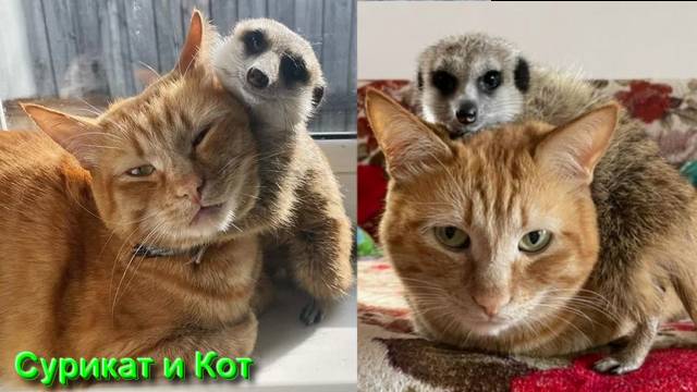 Ответы на Вопросы по Эзотерике от 16.05.25 смотреть онлайн