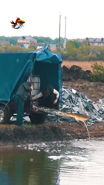 Рыбалка Зарыбляем живой рыбой пруды и приглашаем ко м?