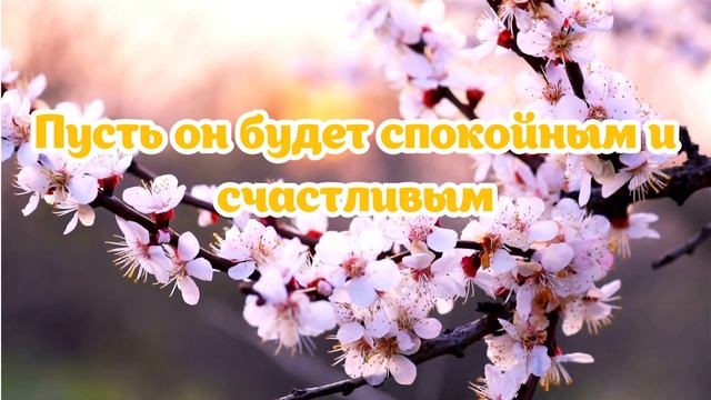 Музыкальная открытка добрый весенний вечер | #SunPik.Ru смотреть онлайн