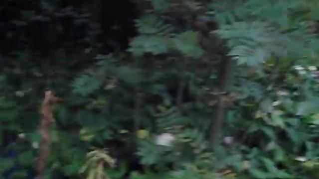 ВЫБОРГ КАМНИ смотреть онлайн