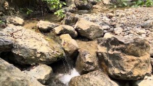 Riachuelo / ручей 25/02/2024