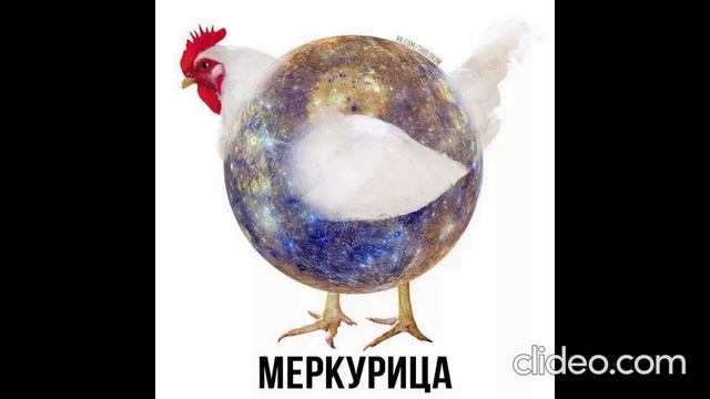 Пернатые + ШИЗА =