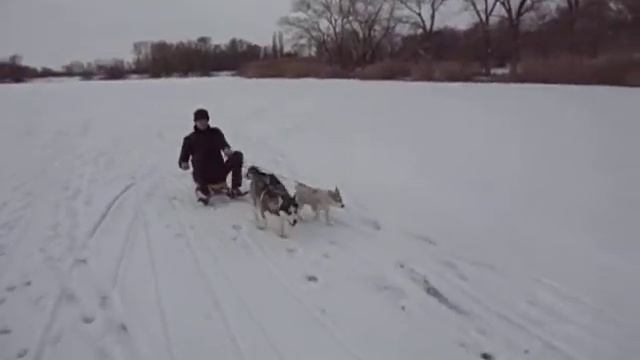 Тихорецк Хася и Боня катают Тему.AVI смотреть онлайн