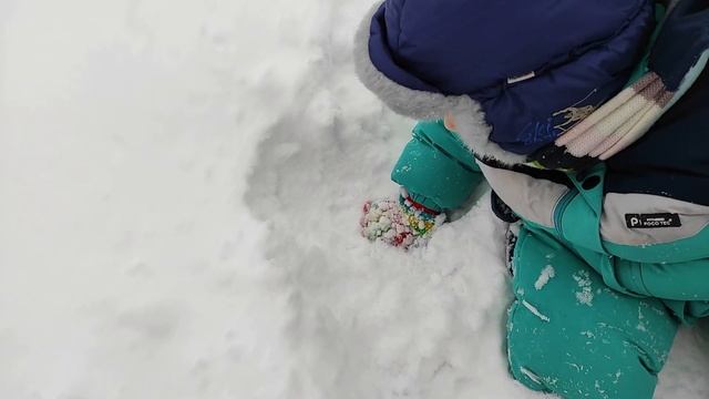 Убираем снег и катаемся с собакой !