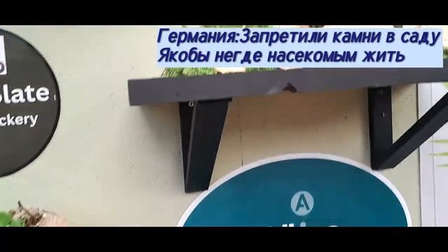 Костюмы у нас носят в отличии от некоторых просроченн? смотреть онлайн