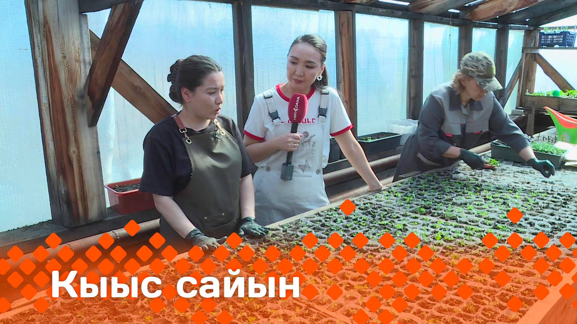 «Кыыс сайын» (16.05.25)