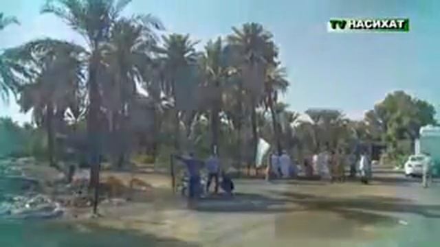 Хороший мавлид 😍😍😍