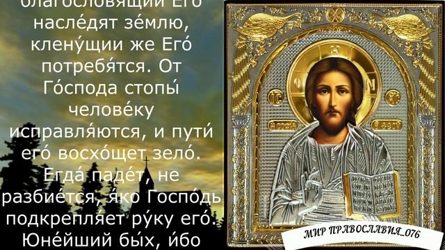 Молитва от обиды, злости и гнева - псалом 36 смотреть онлайн