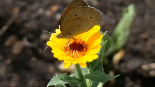 Моя жизнь в Твоих руках  03.01.2016