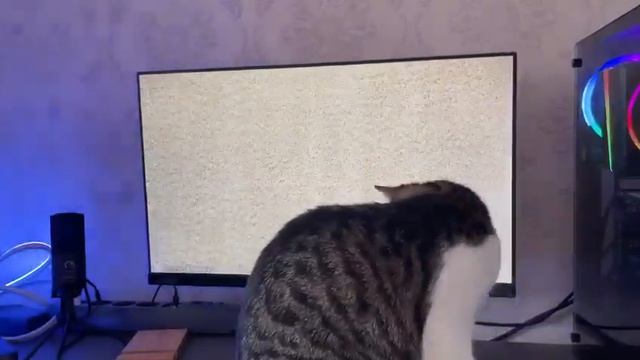 Триада дома смотреть онлайн