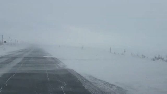 12 мая в Лабытнанги