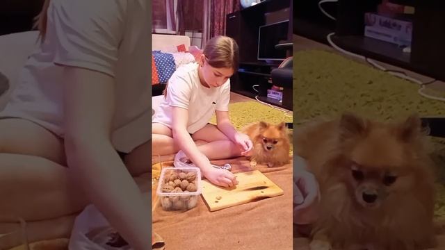 25 апреля 2023 г.