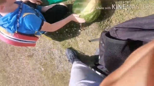 VLOG: КУПИЛИ АРБУЗ, И СЪЕЛИ смотреть онлайн