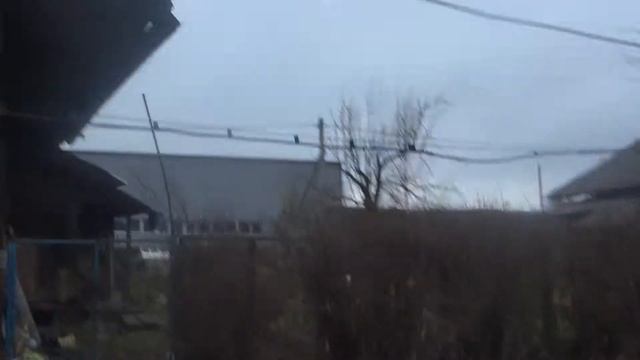 17.11.2018 гатчина парк 01 смотреть онлайн