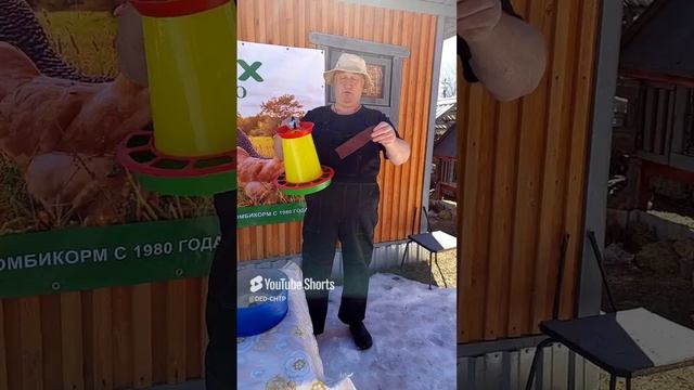 ДРЕВНИЙ СПОСОБ БОРЬБЫ С РАСКЛЁВОМ У КУР!!! 22.04.2025 год. смотреть онлайн