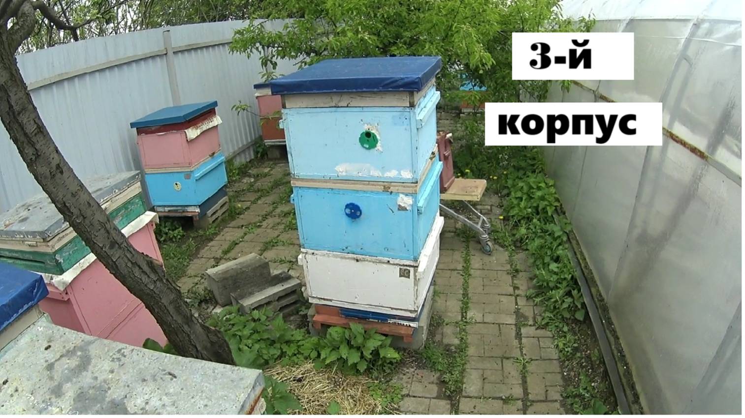 Формирование отводков в системе пчеловодства "Всё включено". смотреть онлайн