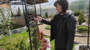 Обо всём по немногу.Фигурки,рыбалка,караси....Вставляем двери в доме.