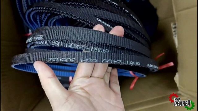 Ремень Gates 8MGT 2400 POLYCHAIN ® CARBON от Мир ремней смотреть онлайн