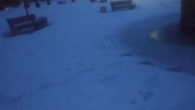 Срочно!!! мою собаку убили (я буду мстить)  - 1 Часть