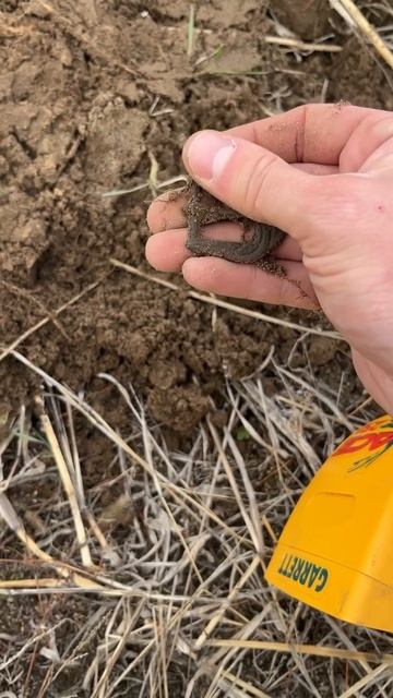 ВОТ ЭТО ПОВЕЗЛО! НАХОДКИ С МЕТАЛЛОИСКАТЕЛЕМ ЗА ОДИН ДЕ смотреть онлайн