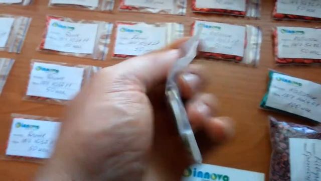 Получил испытательные семена от компании  INNOVA SEEDS 