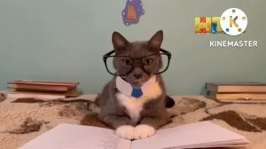 КОТИНЕТ: 5 ВЫПУСК