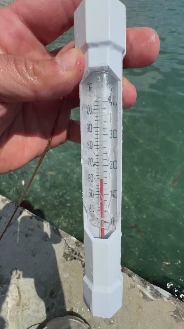 Ялта. Температура морской воды в Крыму сегодня. Крым 2025 #крымсегодня #крым2025 #моревкрыму смотреть онлайн