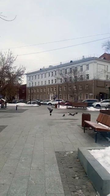 #иркутск #песняпроиркутск #мой_иркутск #светланабелоу? смотреть онлайн