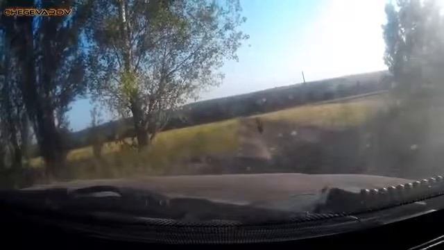 ЖИТЬ СТАЛО ЛУЧШЕ, ЖИТЬ СТАЛО ВЕСЕЛЕЕ! РУССКИЕ ПРИКОЛЫ смотреть онлайн