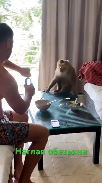 5 января 2024 г.