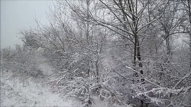 А У НАС СНЕЖОК ИДЁТ ! 27.11.17