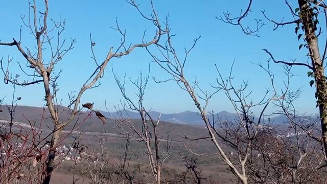 Трёх составный дольмен. СНТ "Бриз". Васильевка. Абрау-Дюрсо. Дополнение. смотреть онлайн