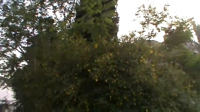 Сказки Турции смотреть онлайн